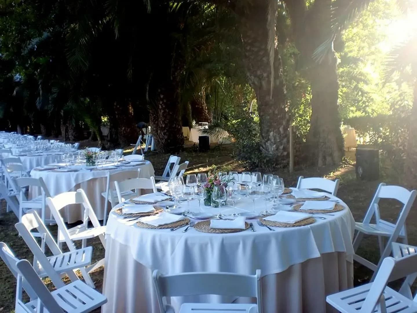 HACIENDA LA VARA - imagen 14