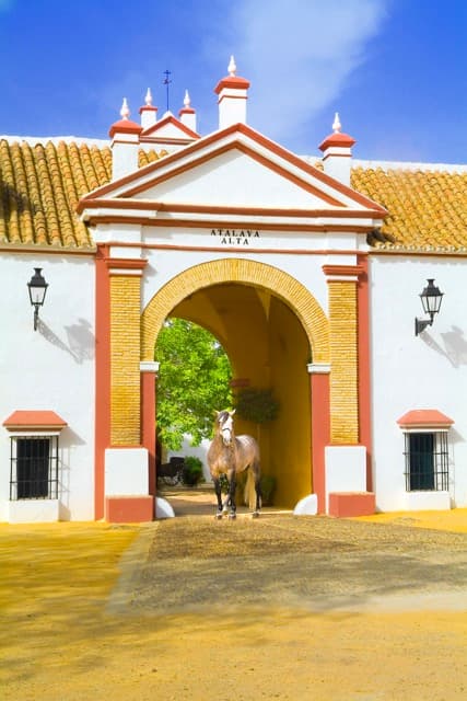 HACIENDA ATALAYA ALTA - imagen 23