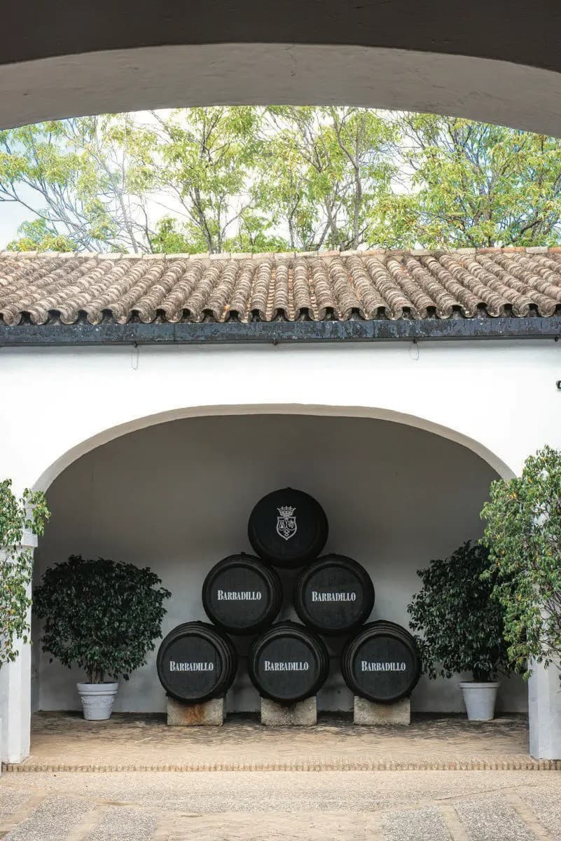 BODEGAS BARBADILLO - imagen 22