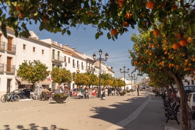 VIDA ESPEJO - CORDOBA - imagen 21