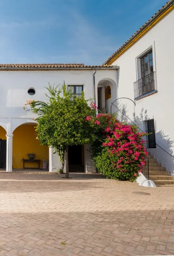 CORTIJO TORRE DE LA REINA - imagen 26