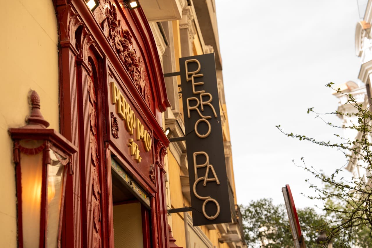 Perro Paco - Madrid - imagen 8