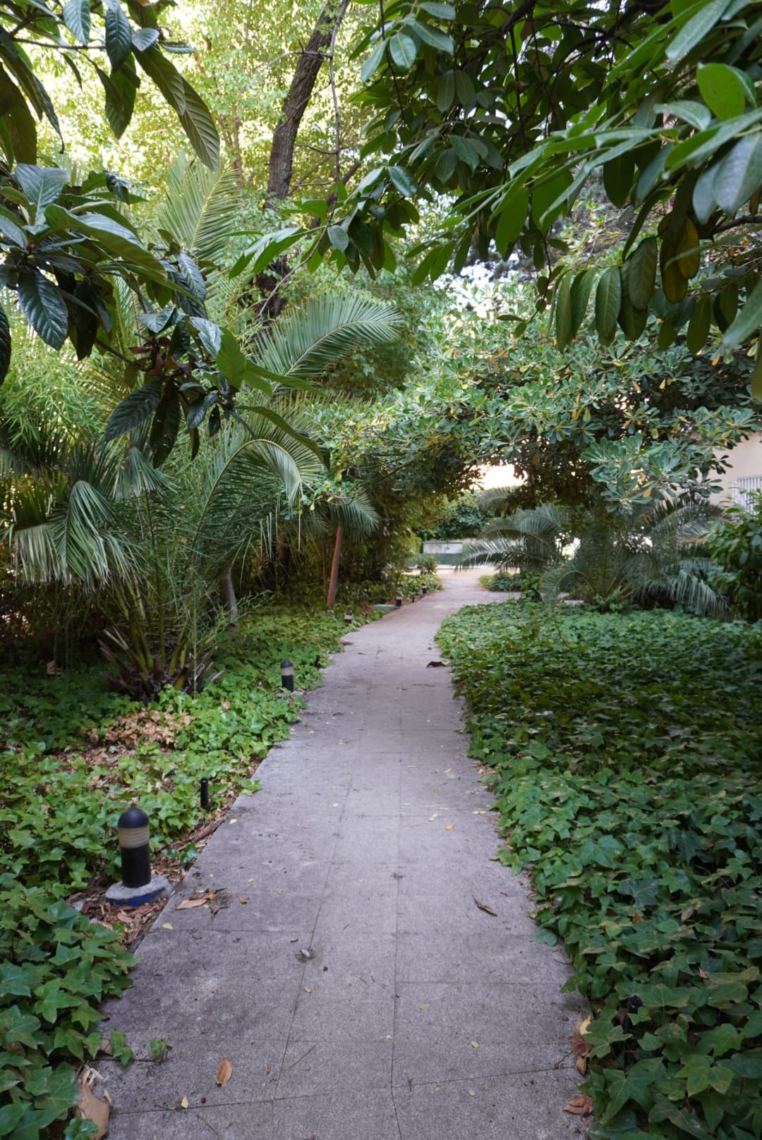 LOCAL CON JARDÍN PRIVADO - imagen 13