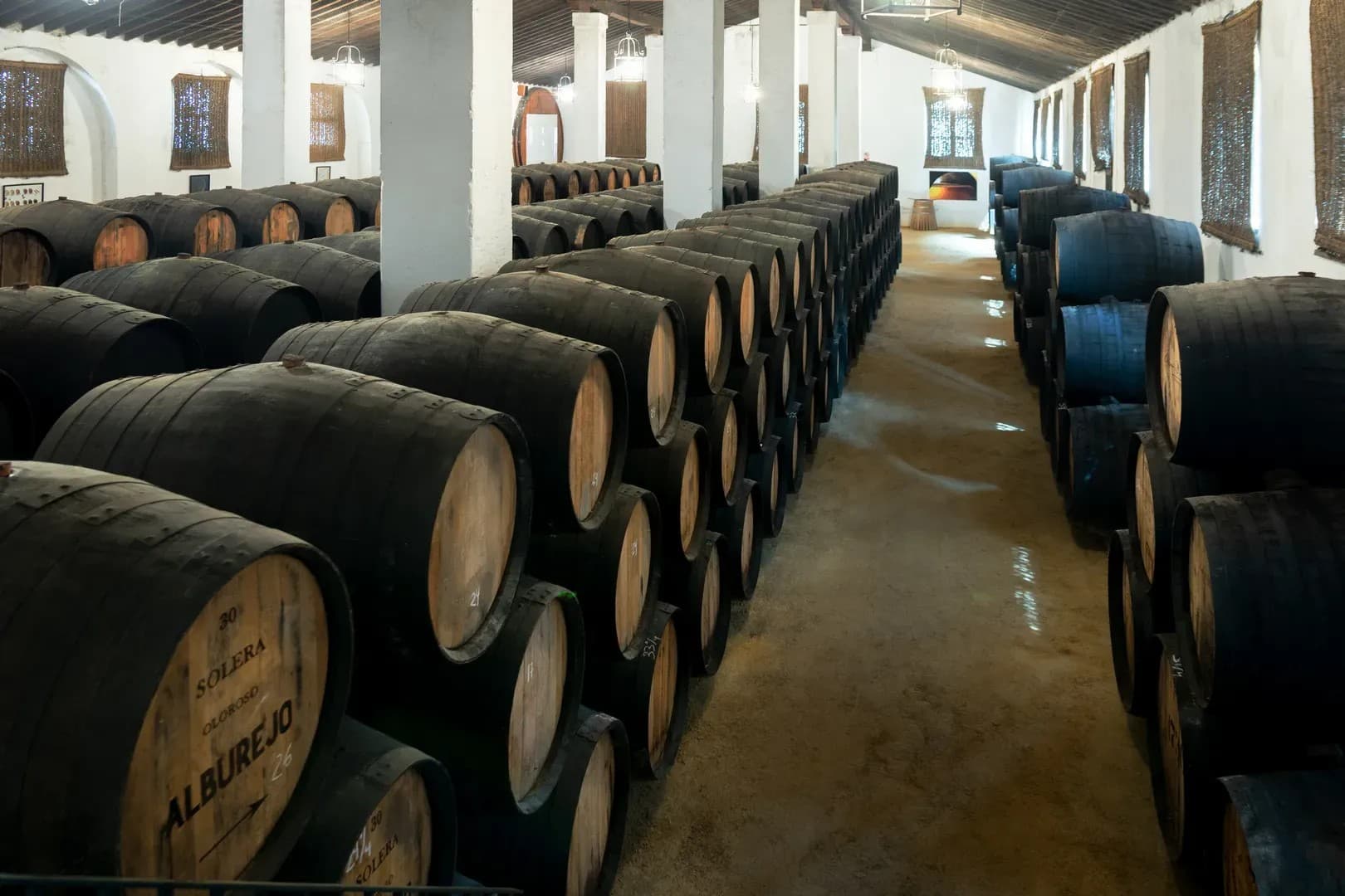 BODEGAS ALVARO DOMECQ - imagen 11