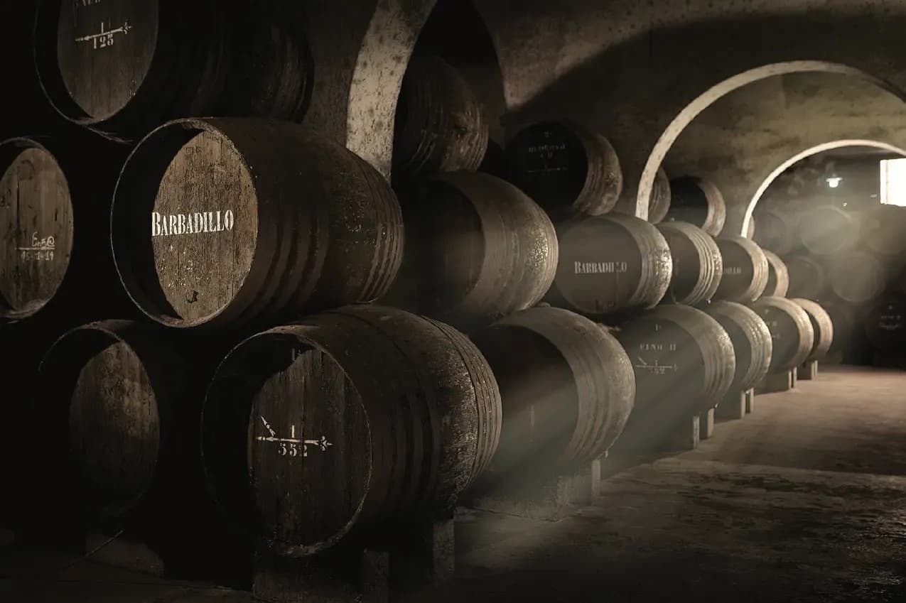 BODEGAS BARBADILLO - imagen 7