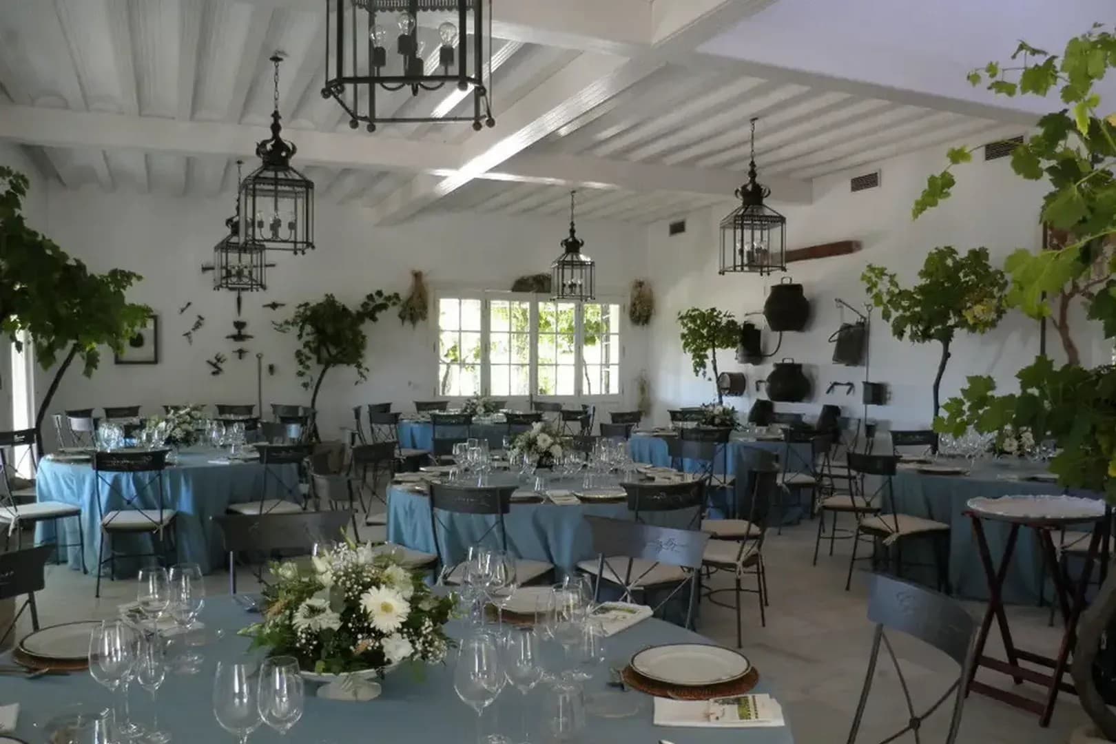 BODEGAS GONZALEZ BYASS - imagen 13