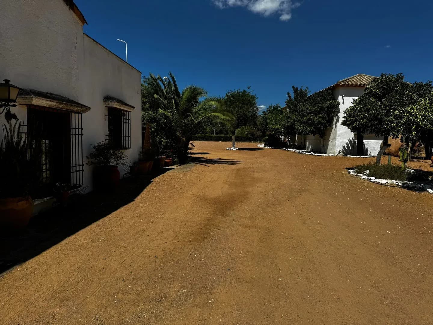 CORTIJO DE ARTAZA - imagen 14