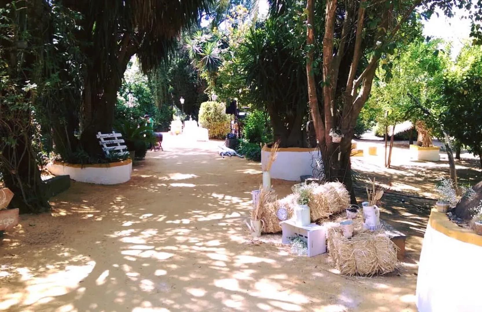CORTIJO SANTA ROSA - imagen 20