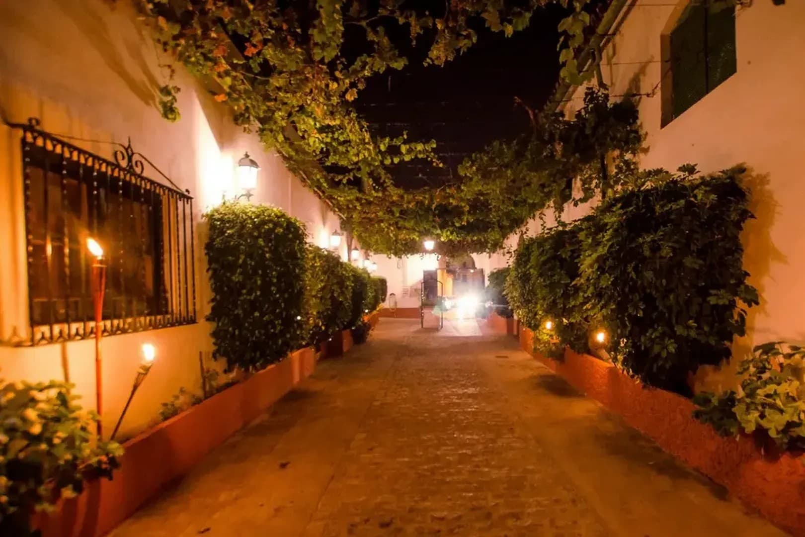 BODEGAS VELEZ - imagen 13