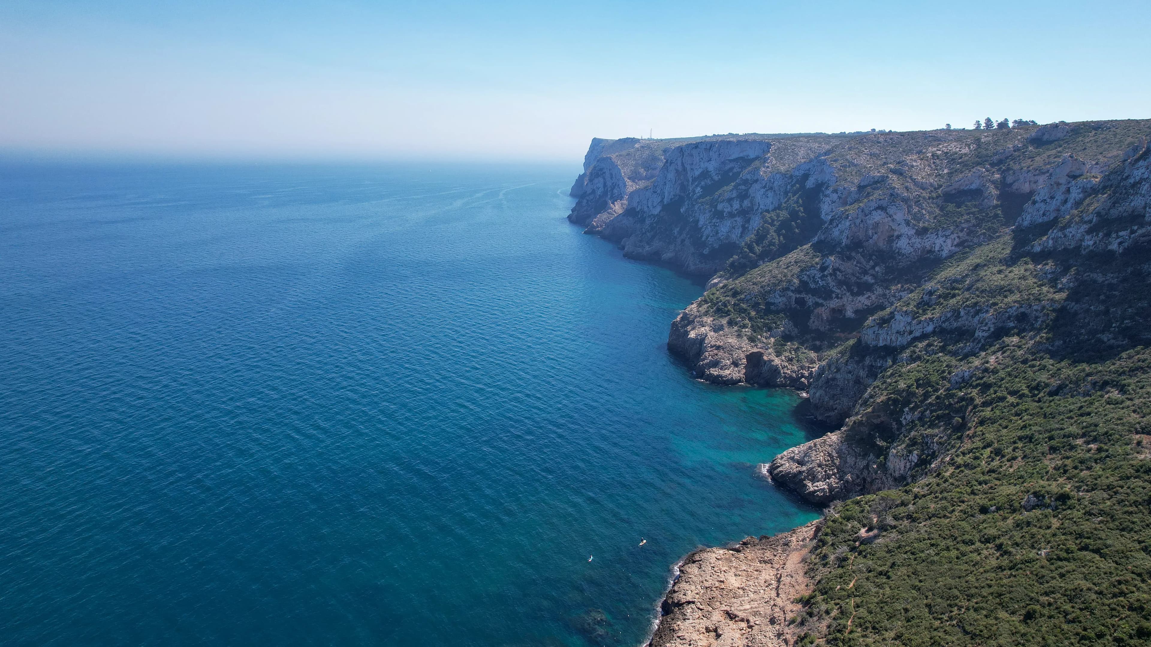 MUNDO MARINO DENIA - imagen 13