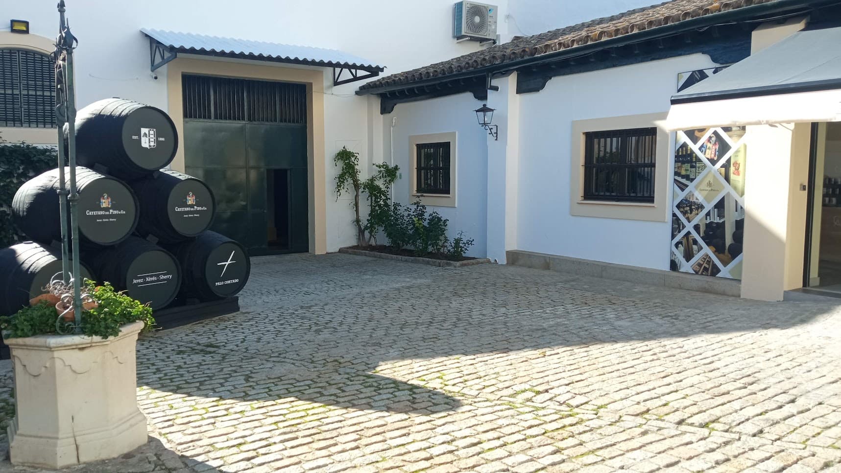 CAYETANO DEL PINO - imagen 1