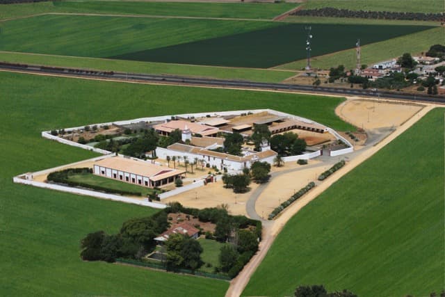 HACIENDA ATALAYA ALTA - imagen 22