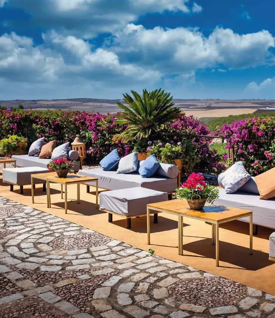 BODEGAS LUIS PEREZ - imagen 10