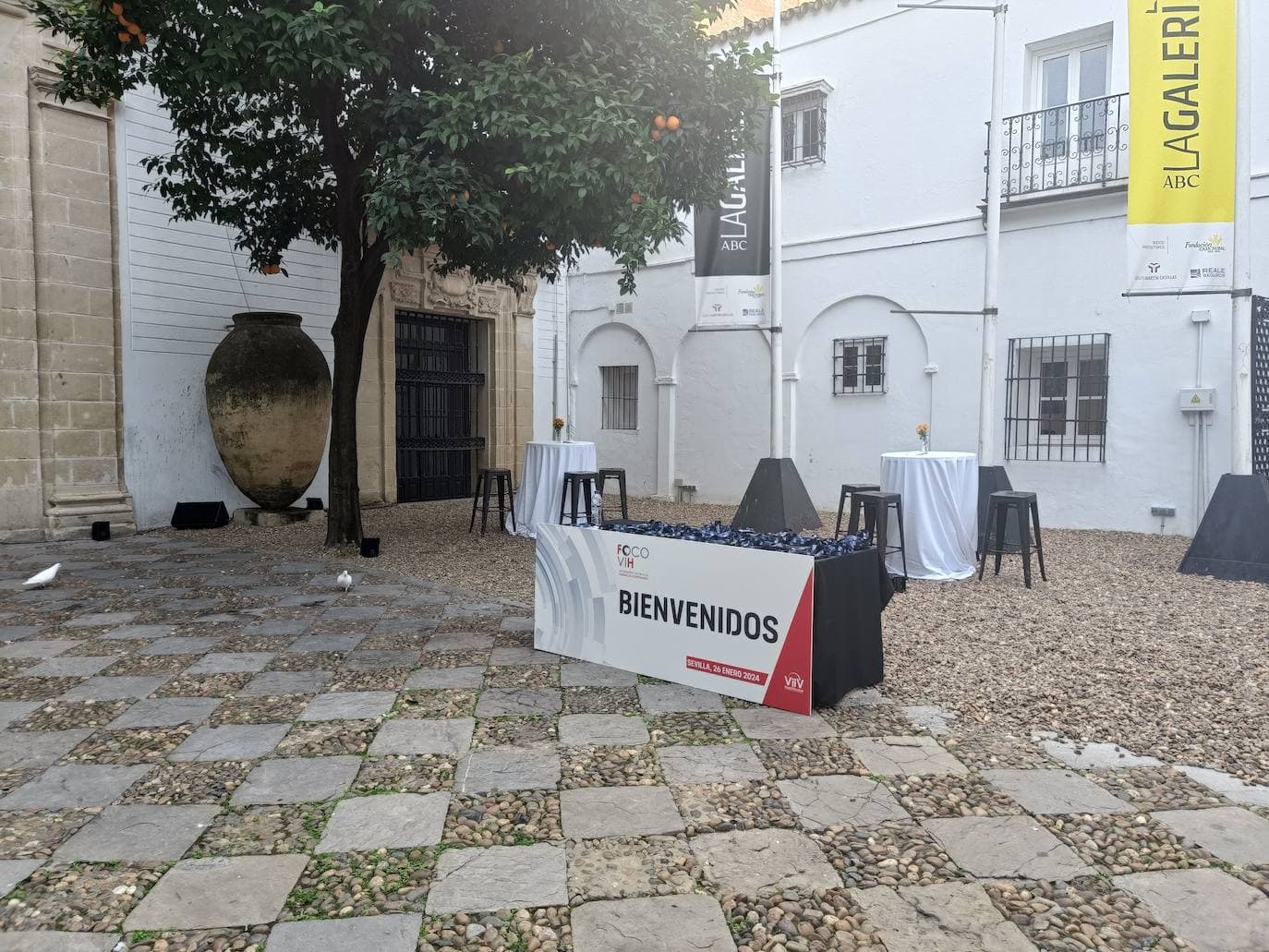 LA GALERIA - imagen 20