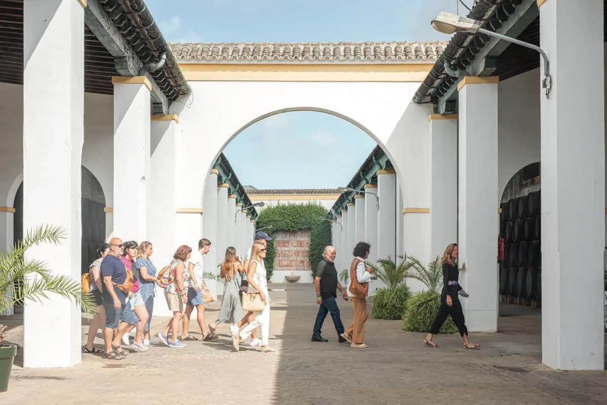 BODEGAS BARBADILLO - imagen 13