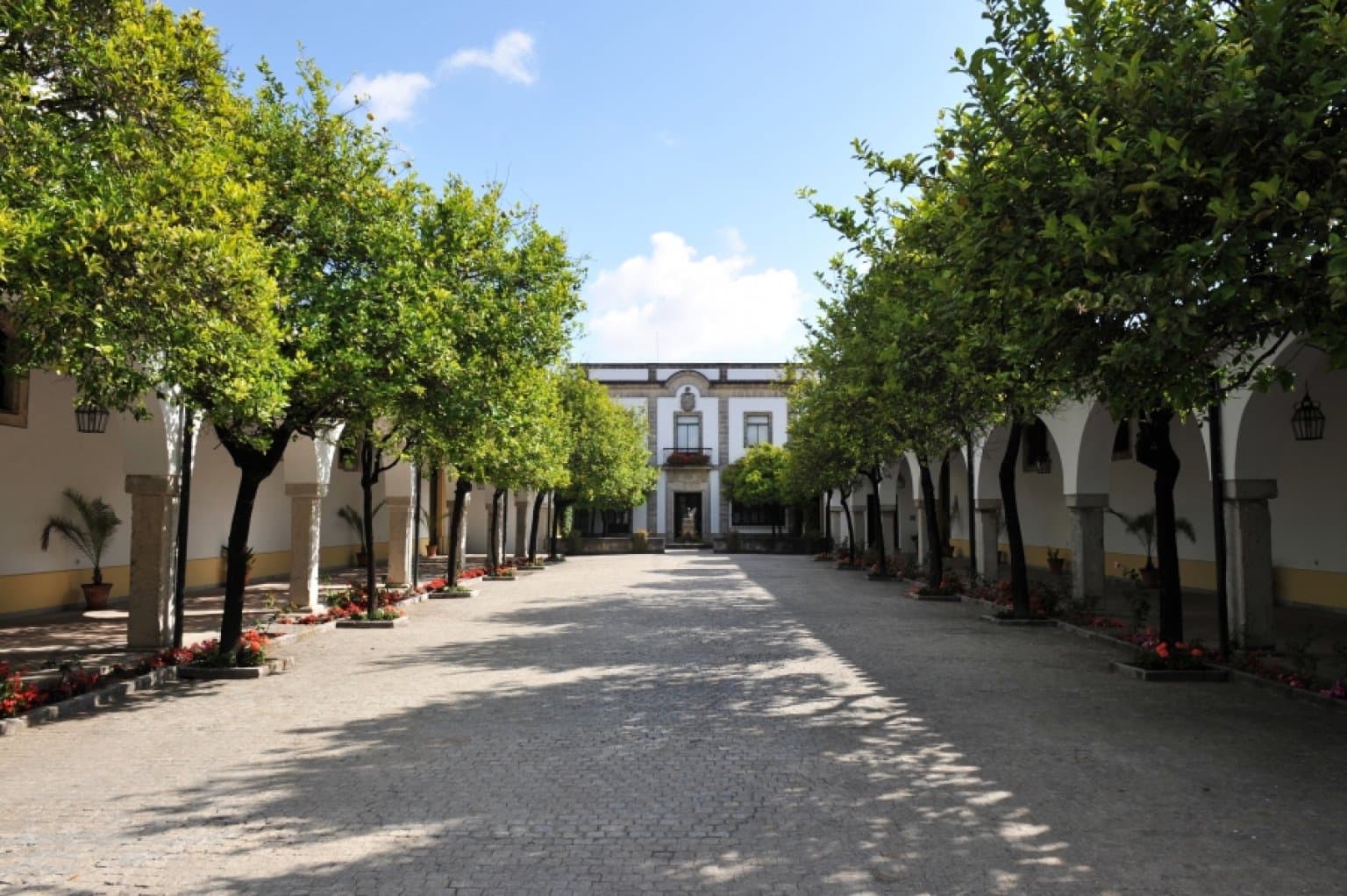 BODEGA FUNDADOR - imagen 13