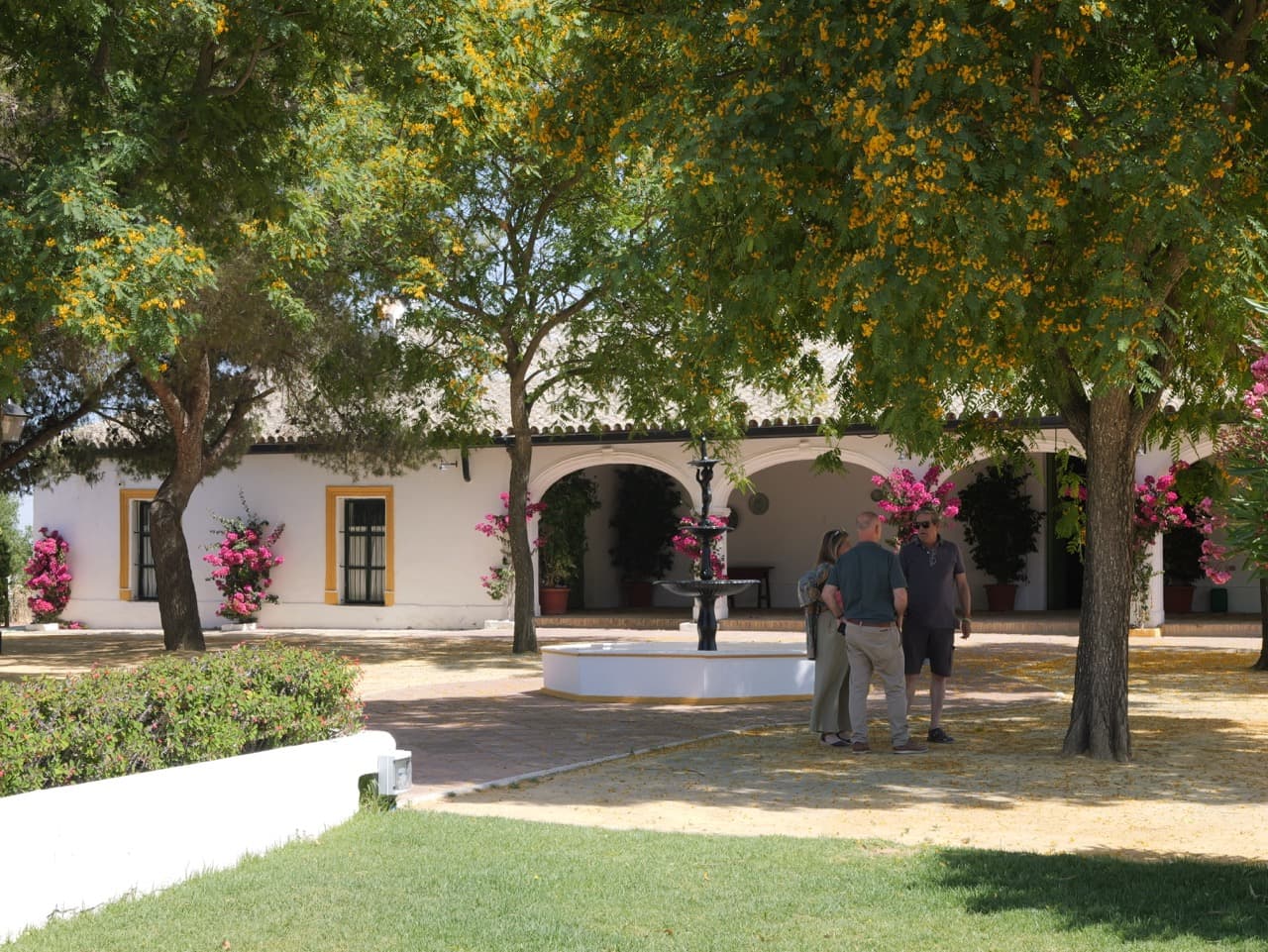 FINCA CERRO DE OBREGON - imagen 8