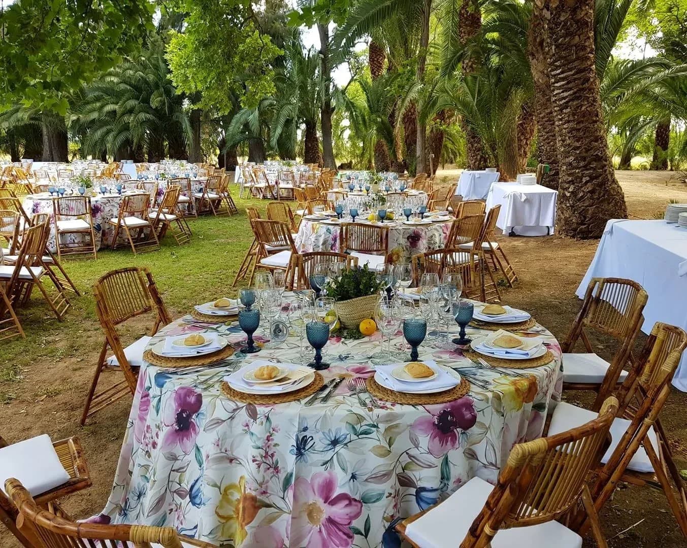 HACIENDA LA VARA - imagen 27