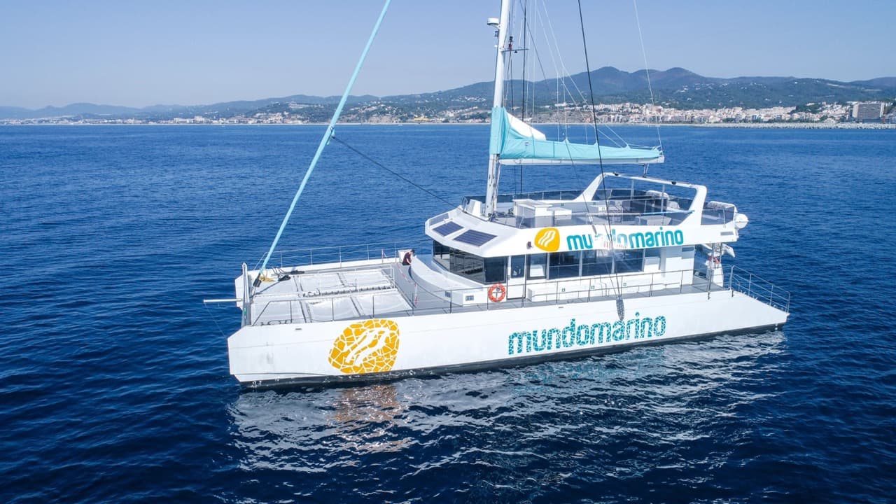 MUNDO MARINO MÁLAGA - imagen 23