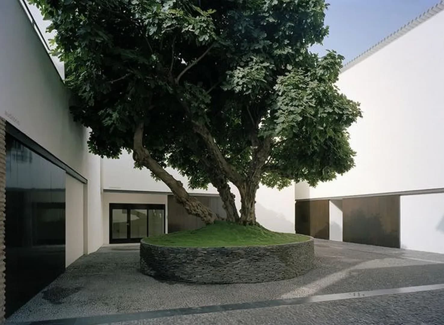 MUSEO PICASSO - imagen 13
