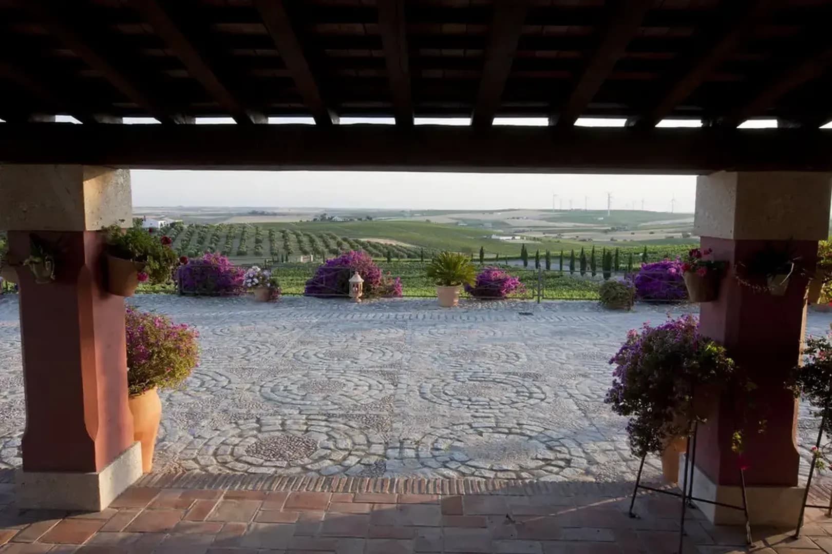 BODEGAS LUIS PEREZ - imagen 11