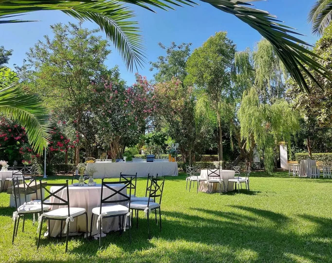 HACIENDA LA VARA - imagen 35