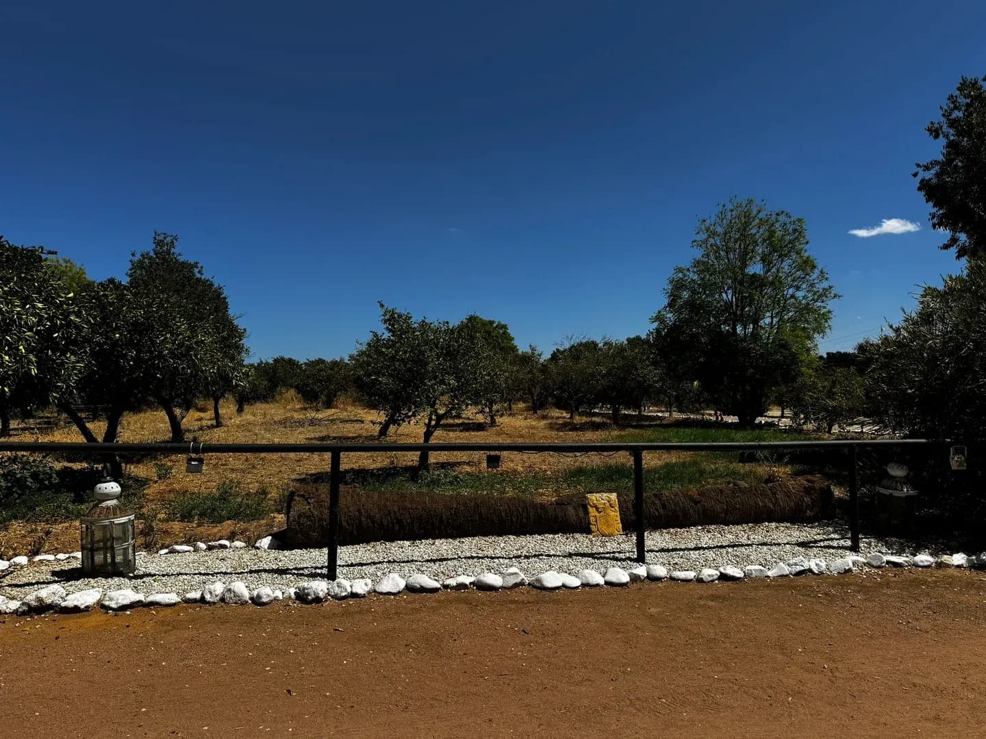 CORTIJO DE ARTAZA - imagen 13