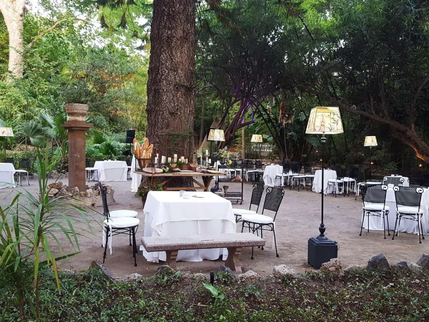 HACIENDA NADALES - imagen 17