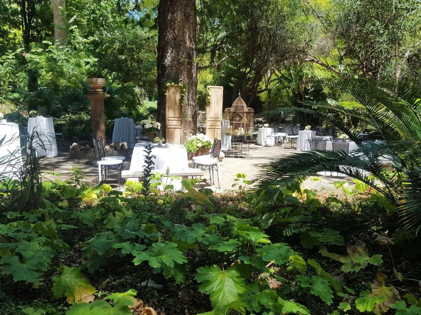 HACIENDA NADALES - imagen 25