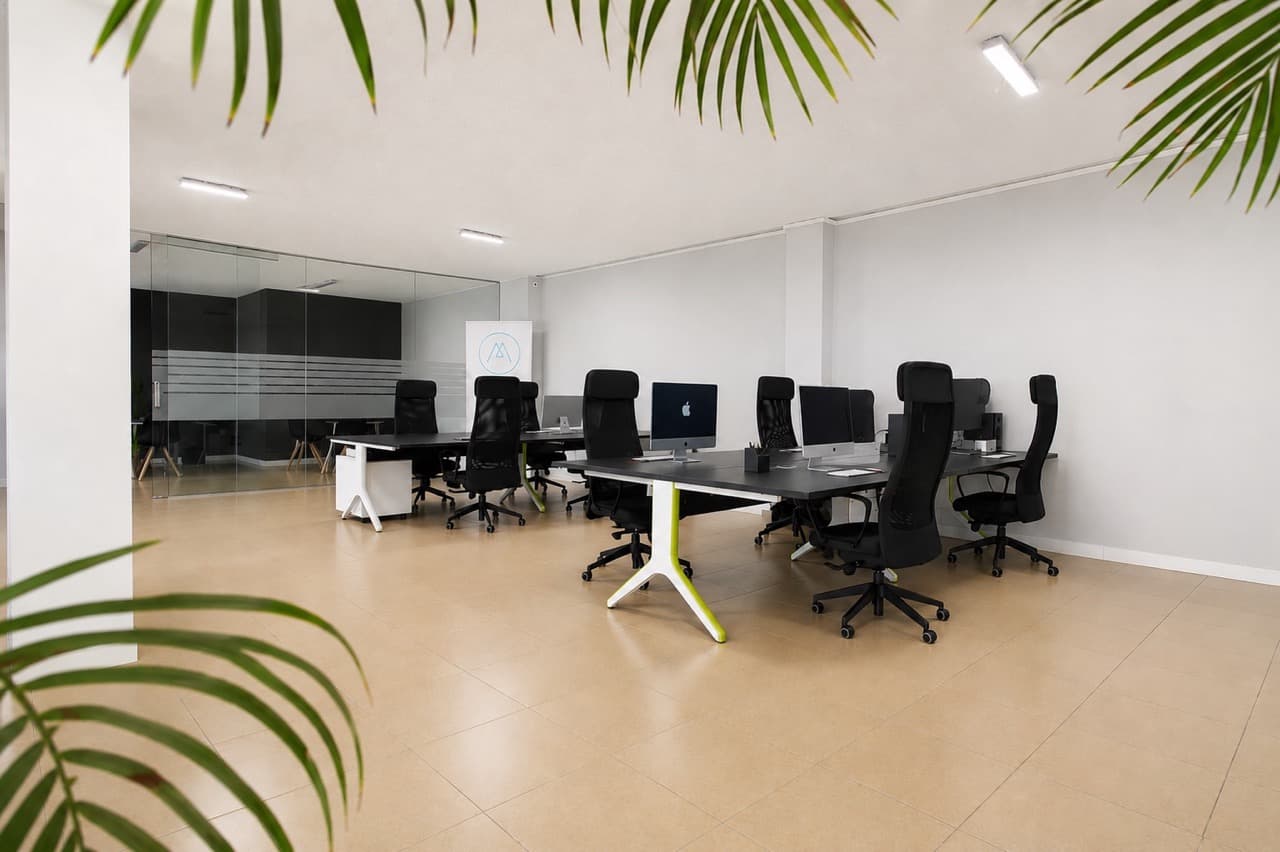 La Industrial - Tenerife - imagen 7