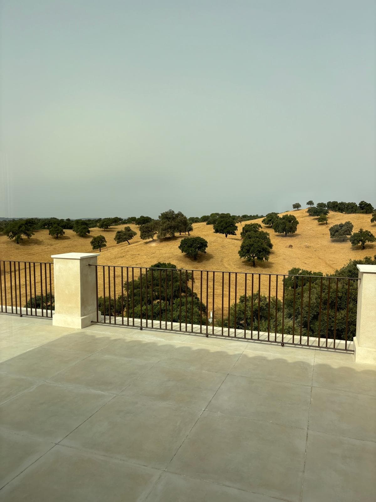 DEHESA EL ALCORNOCAL - CORDOBA - imagen 20