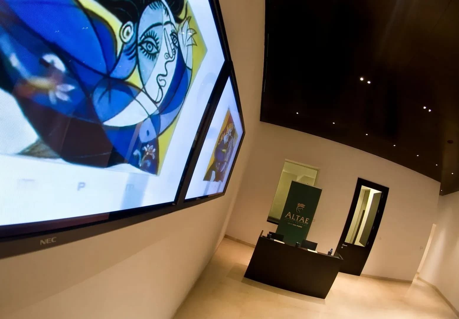 MUSEO PICASSO - imagen 11