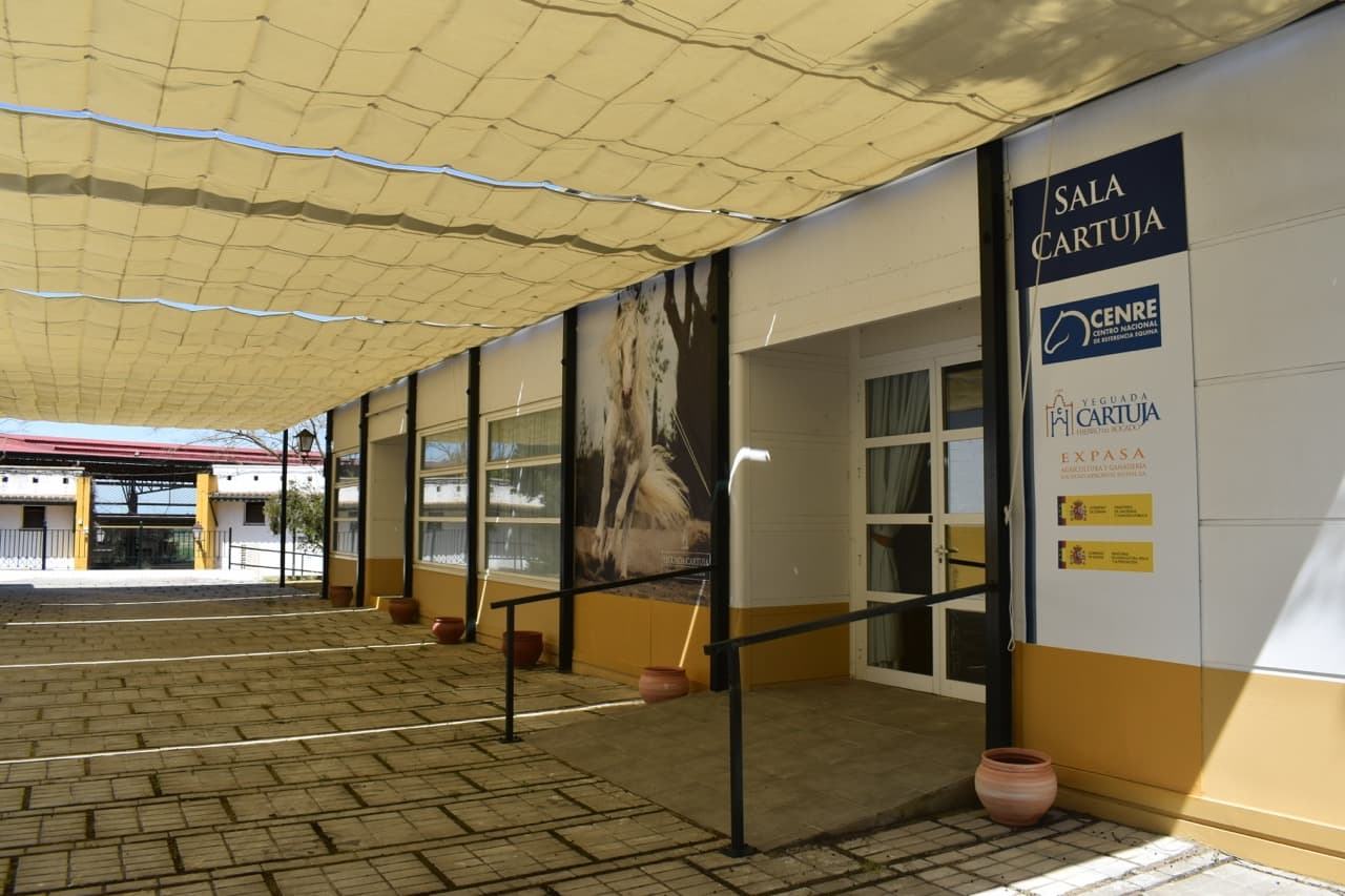 YEGUADA CARTUJA - imagen 11