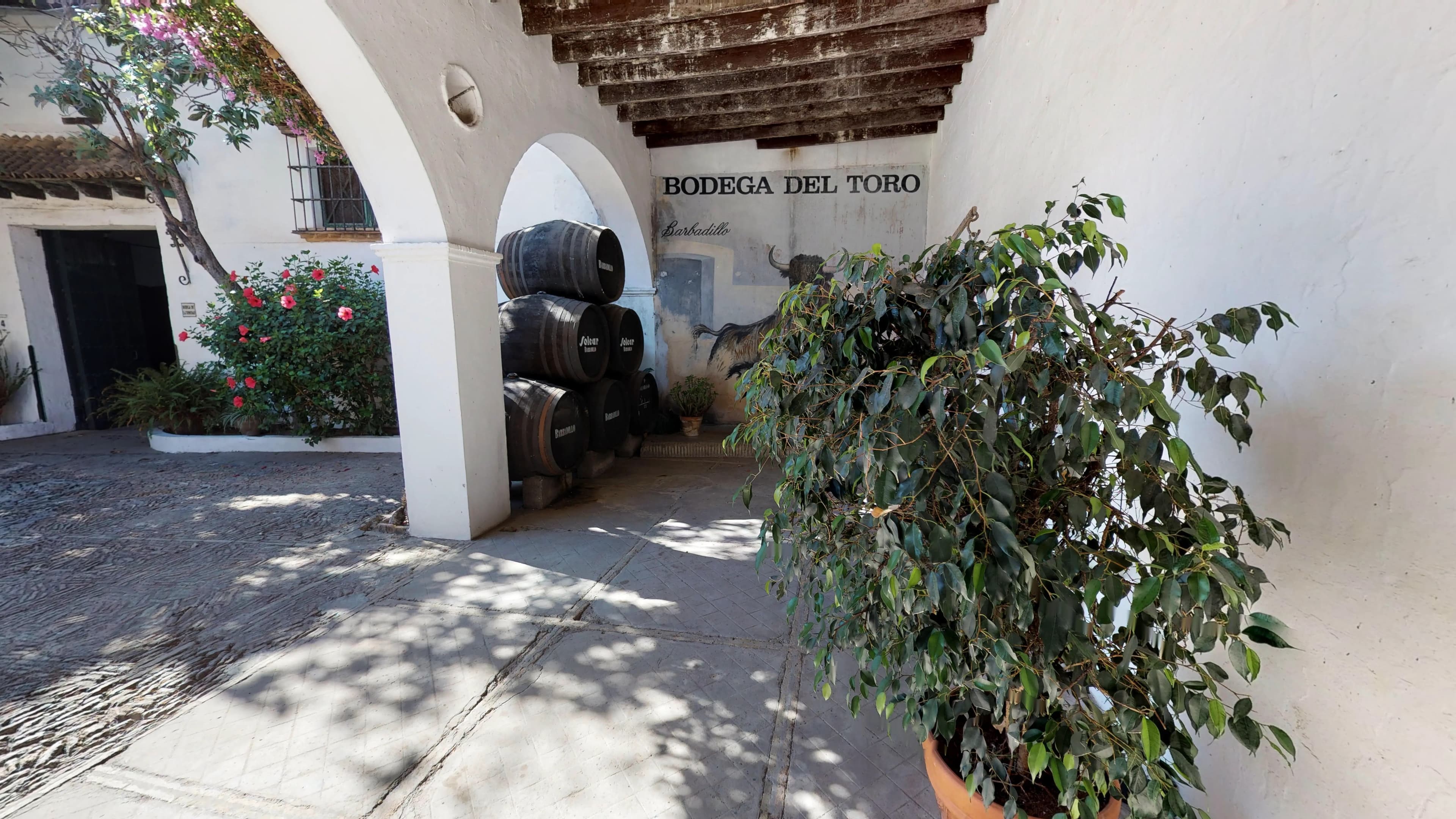 BODEGAS BARBADILLO - imagen 6