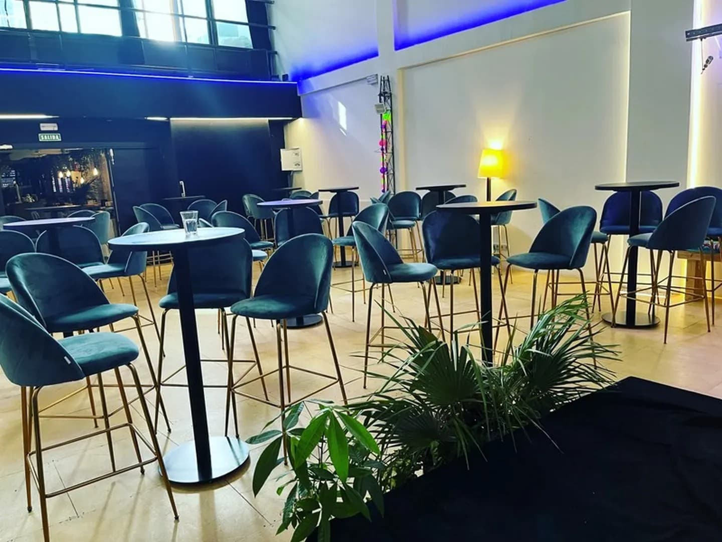 ESPACIO IROKO - imagen 7