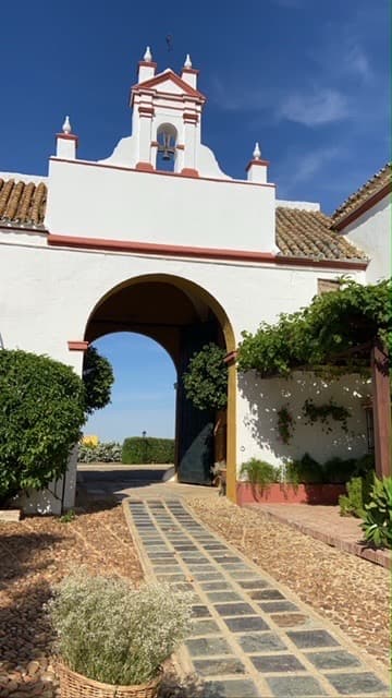 HACIENDA ATALAYA ALTA - imagen 6
