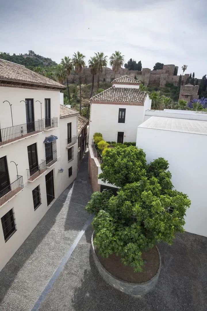MUSEO PICASSO - imagen 14