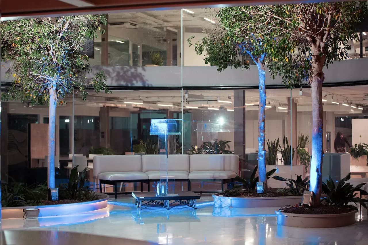 ESPACIO KOI - imagen 43