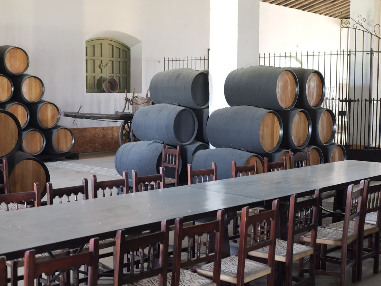 FINCA CERRO DE OBREGON - imagen 7