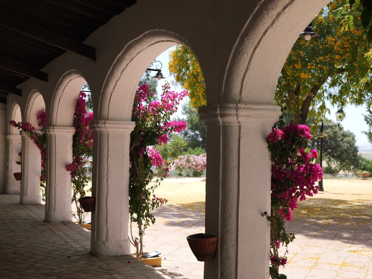 FINCA CERRO DE OBREGON - imagen 13