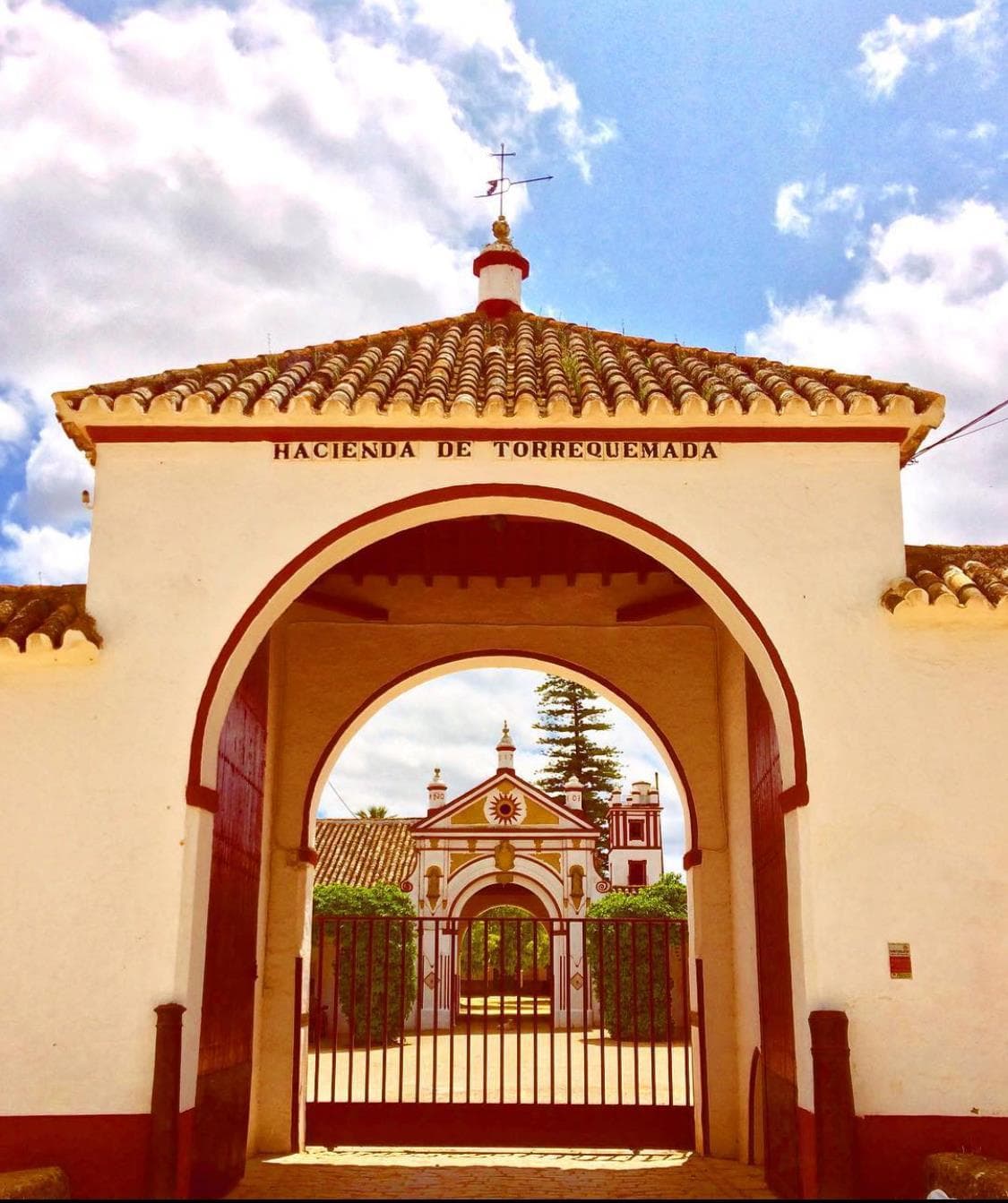HACIENDA TORREQUEMADA - imagen 13