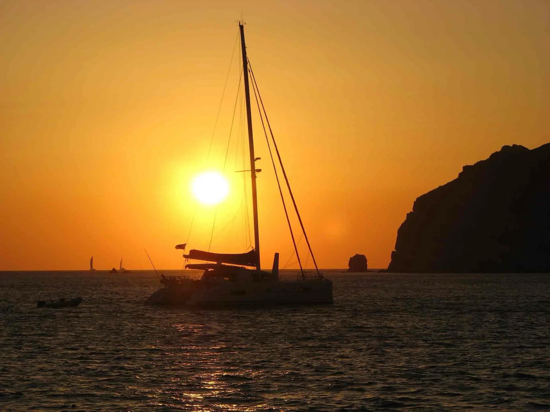 MUNDO MARINO DENIA - imagen 28