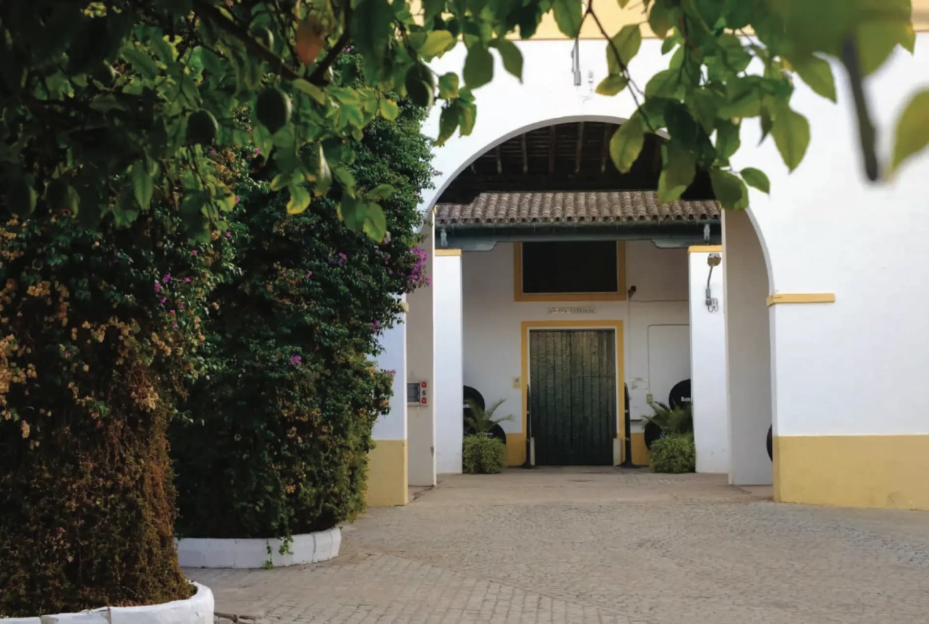 BODEGAS BARBADILLO - imagen 23