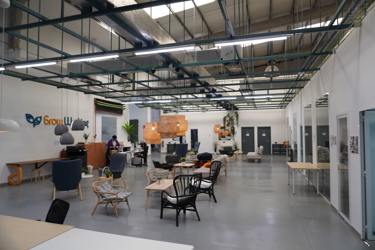 GROW WORKING - imagen 14