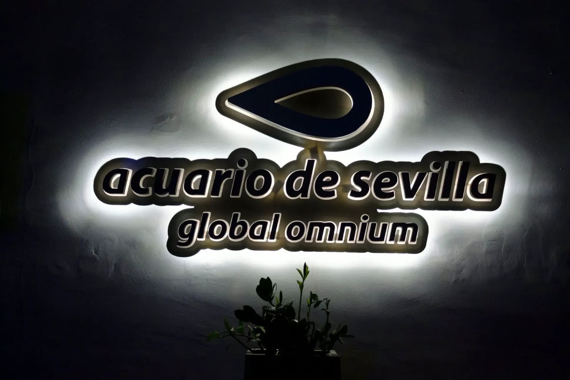 GLOBAL OMNIUM AUDITORIO (ACUARIO SEVILLA) - imagen 28