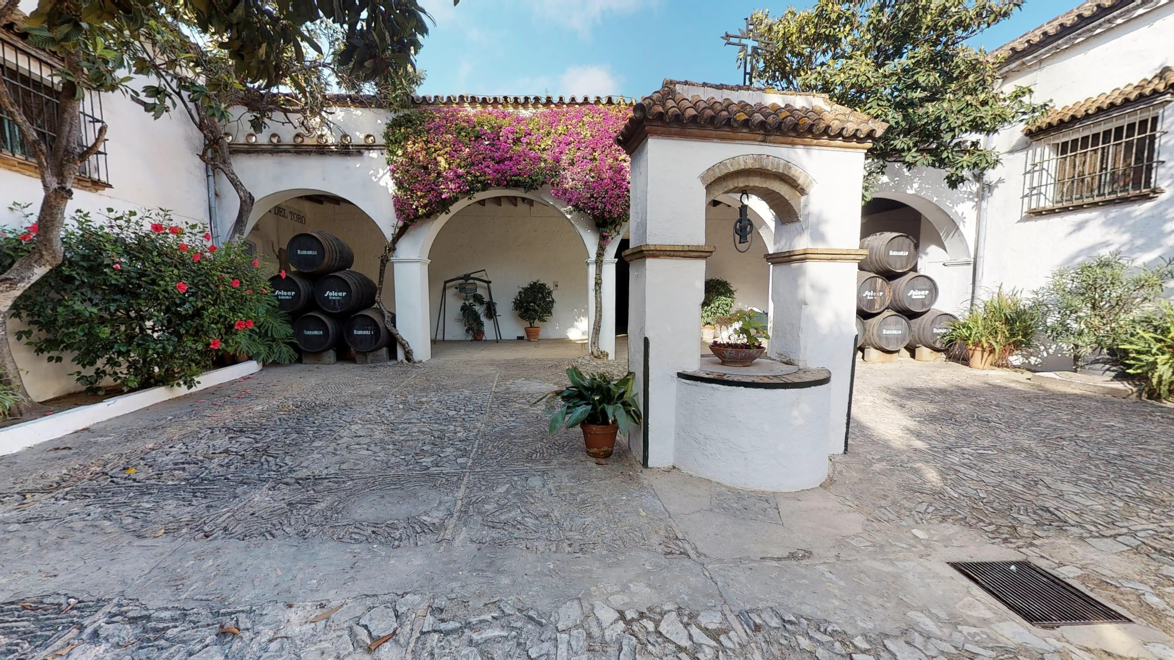 BODEGAS BARBADILLO - imagen 11