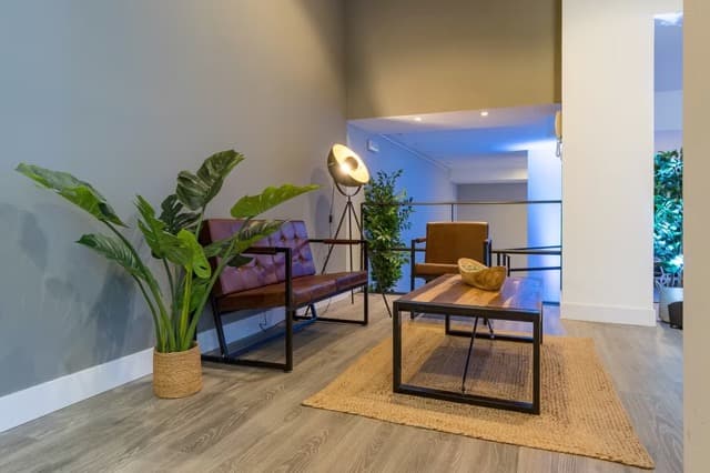 THE STUDIO - imagen 14