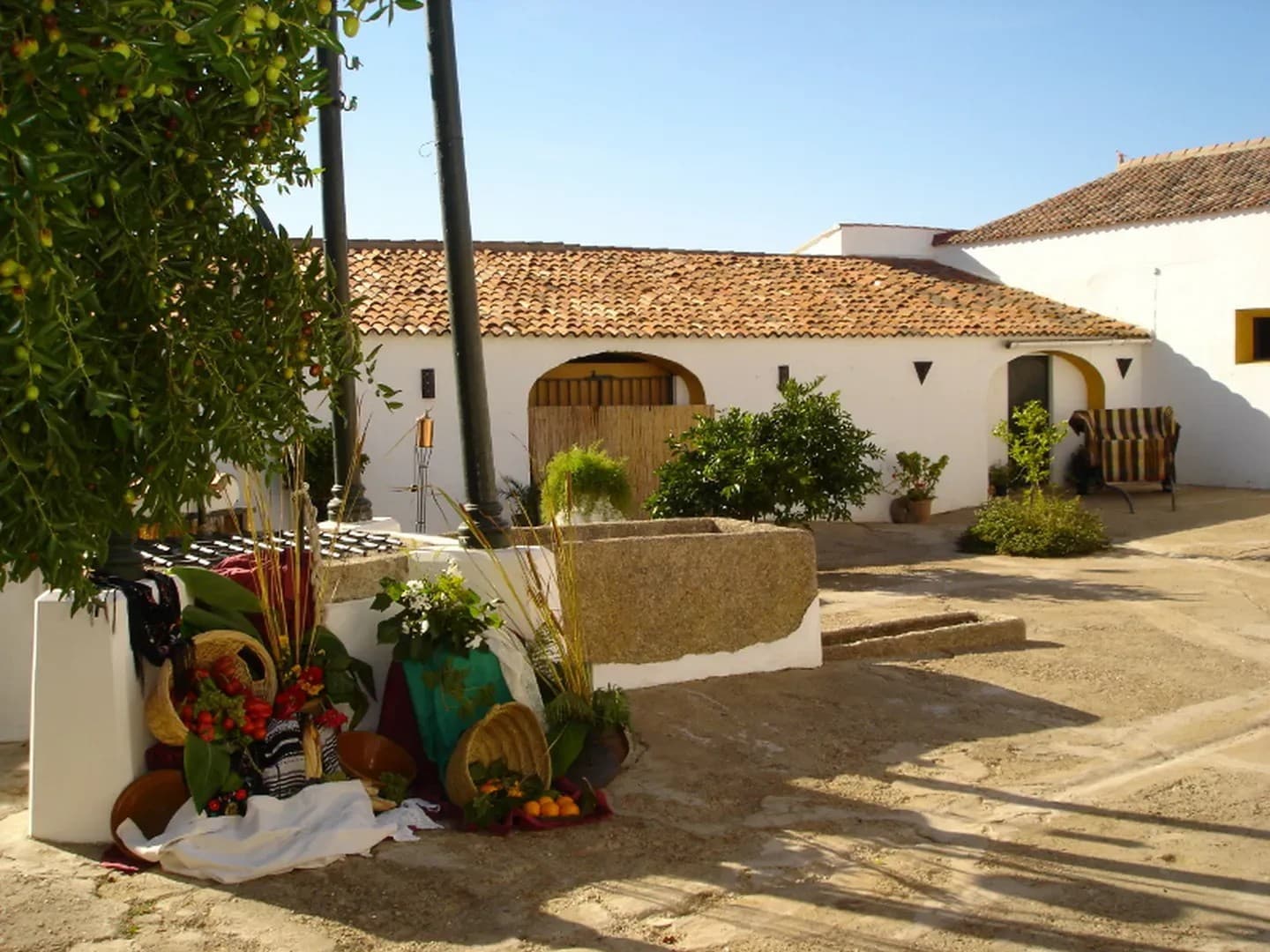 HACIENDA LA VARA - imagen 8