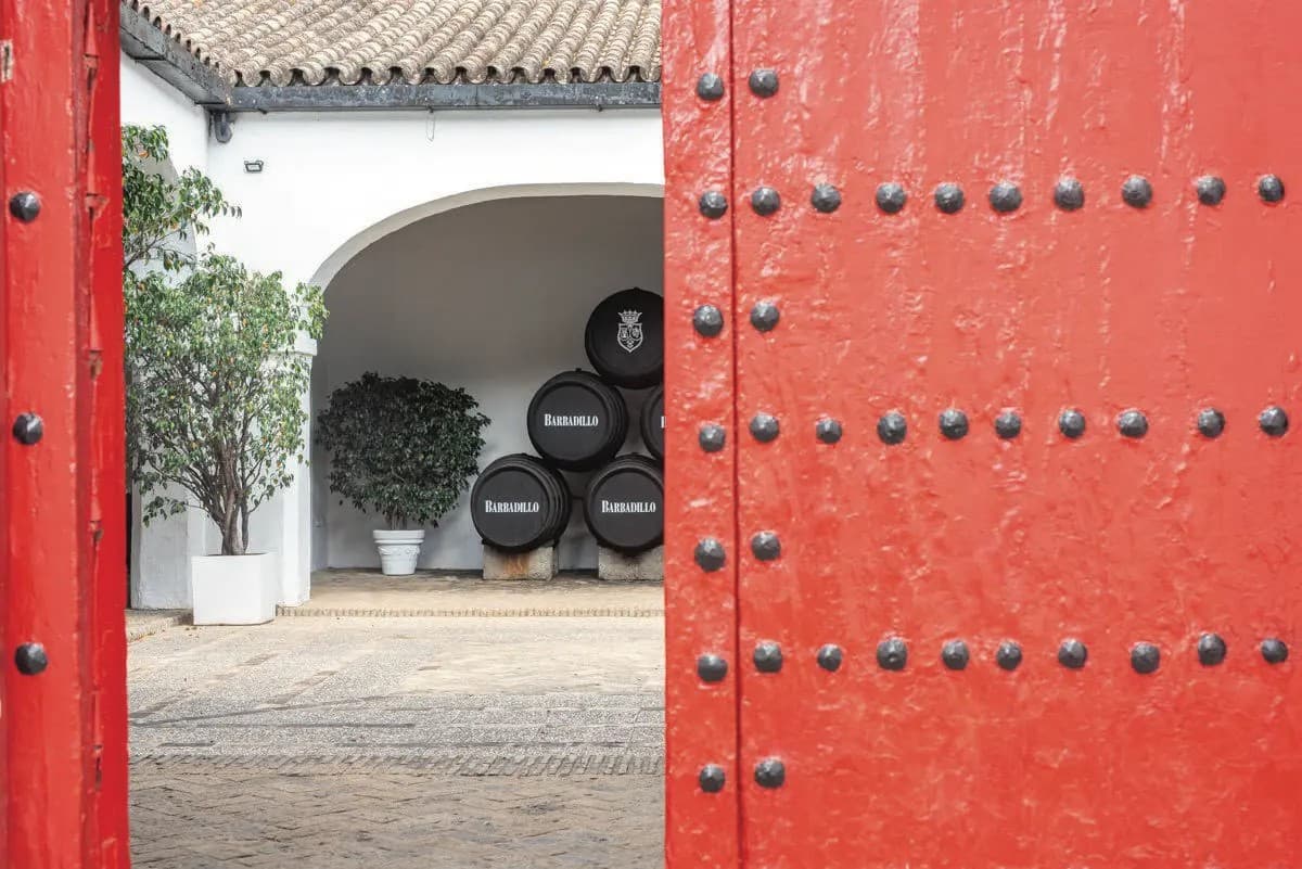 BODEGAS BARBADILLO - imagen 19