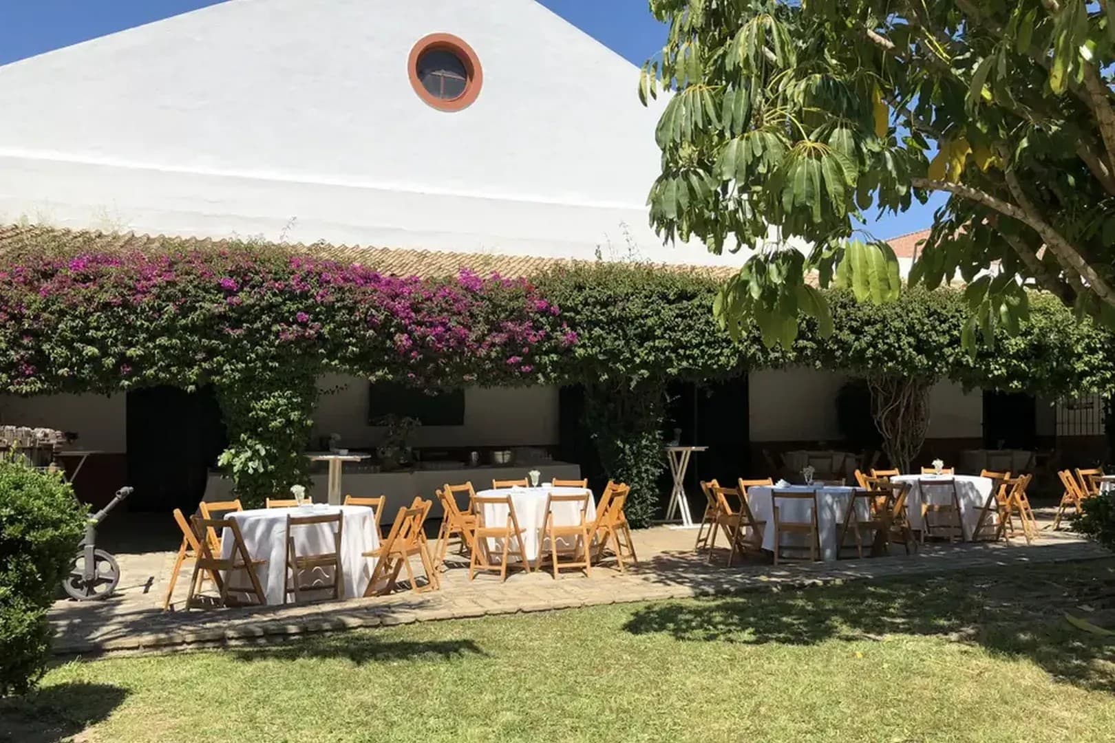 BODEGAS VELEZ - imagen 16